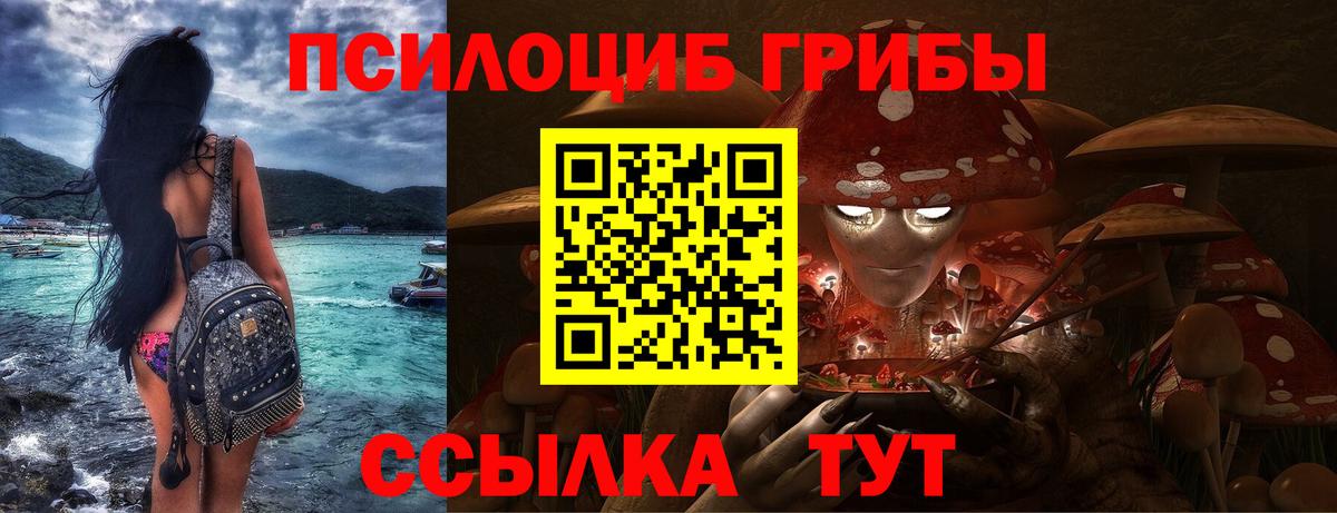 Сосновый Бор  Псилоцибиновые грибы Psilocybe  Вход с VPN 