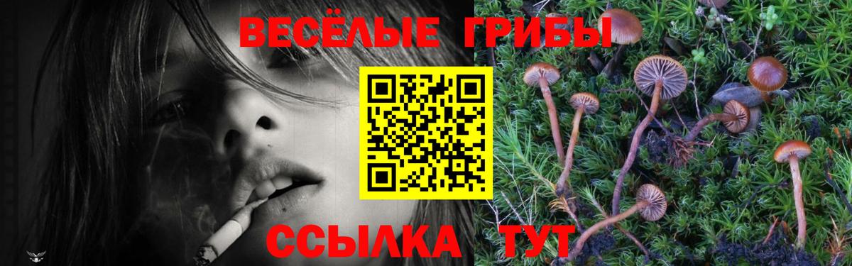 Галлюциногенные грибы GOLDEN TEACHER Сосновый Бор