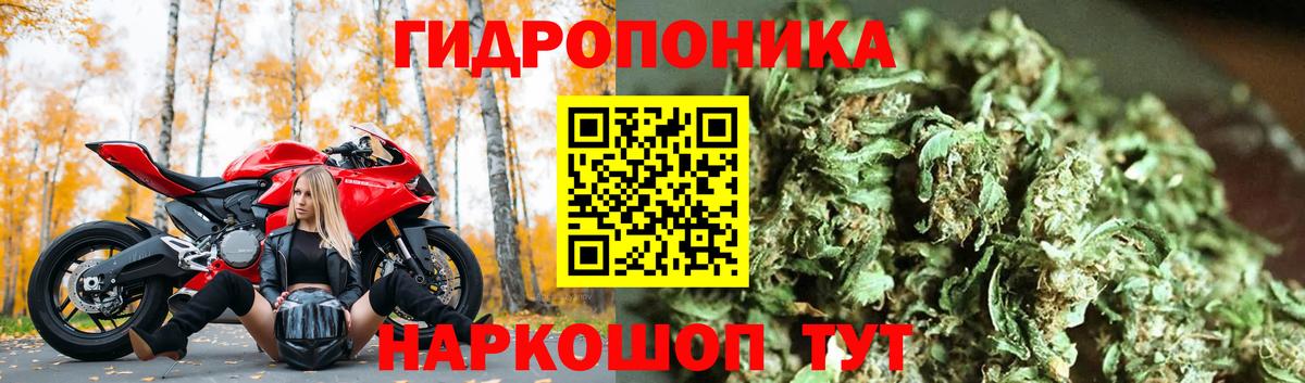 МАРИХУАНА ГИДРОПОН Сосновый Бор